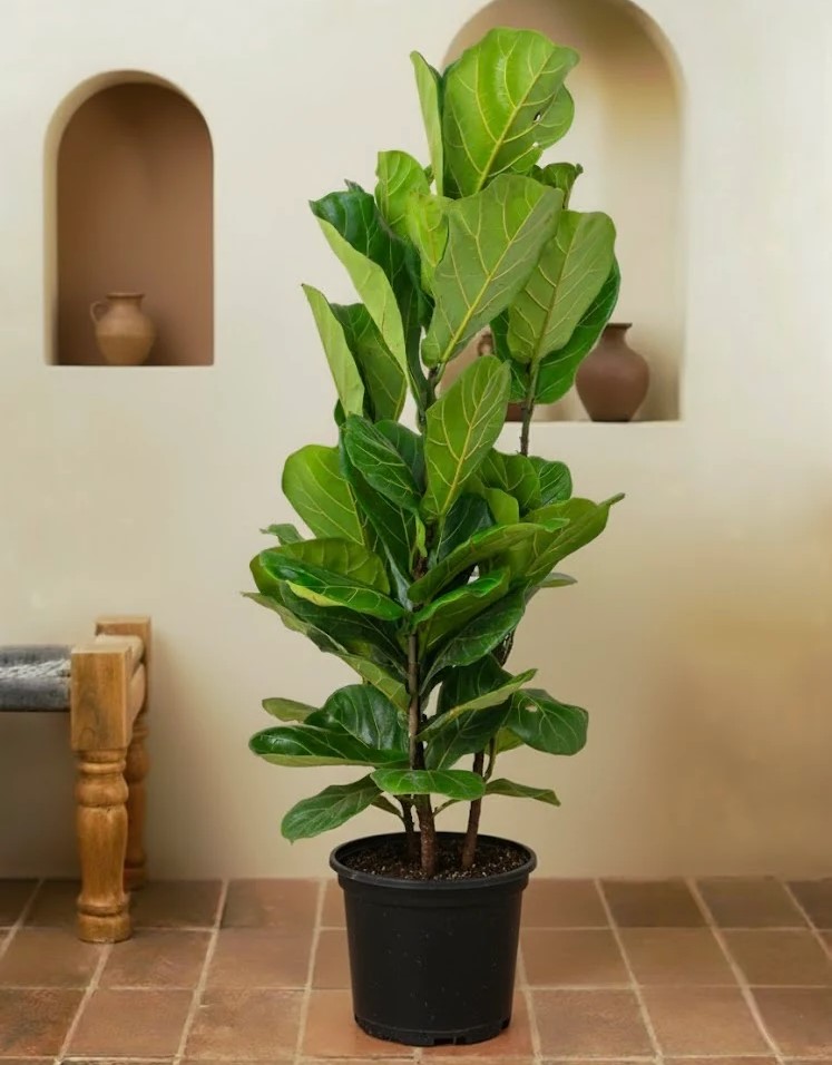 sustainable gardening